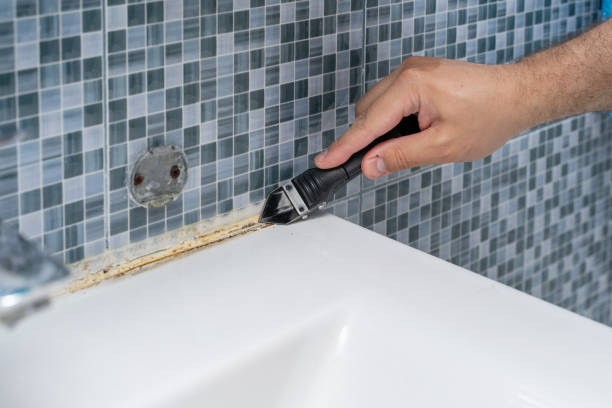 Reliable Tuba City, AZ Mold Removal Solutions