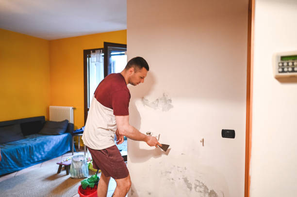 Best Attic Mold Removal  in Tuba City, AZ